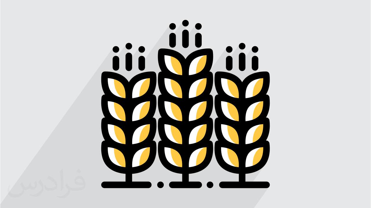 آموزش تکنولوژی غلات Cereal Technology